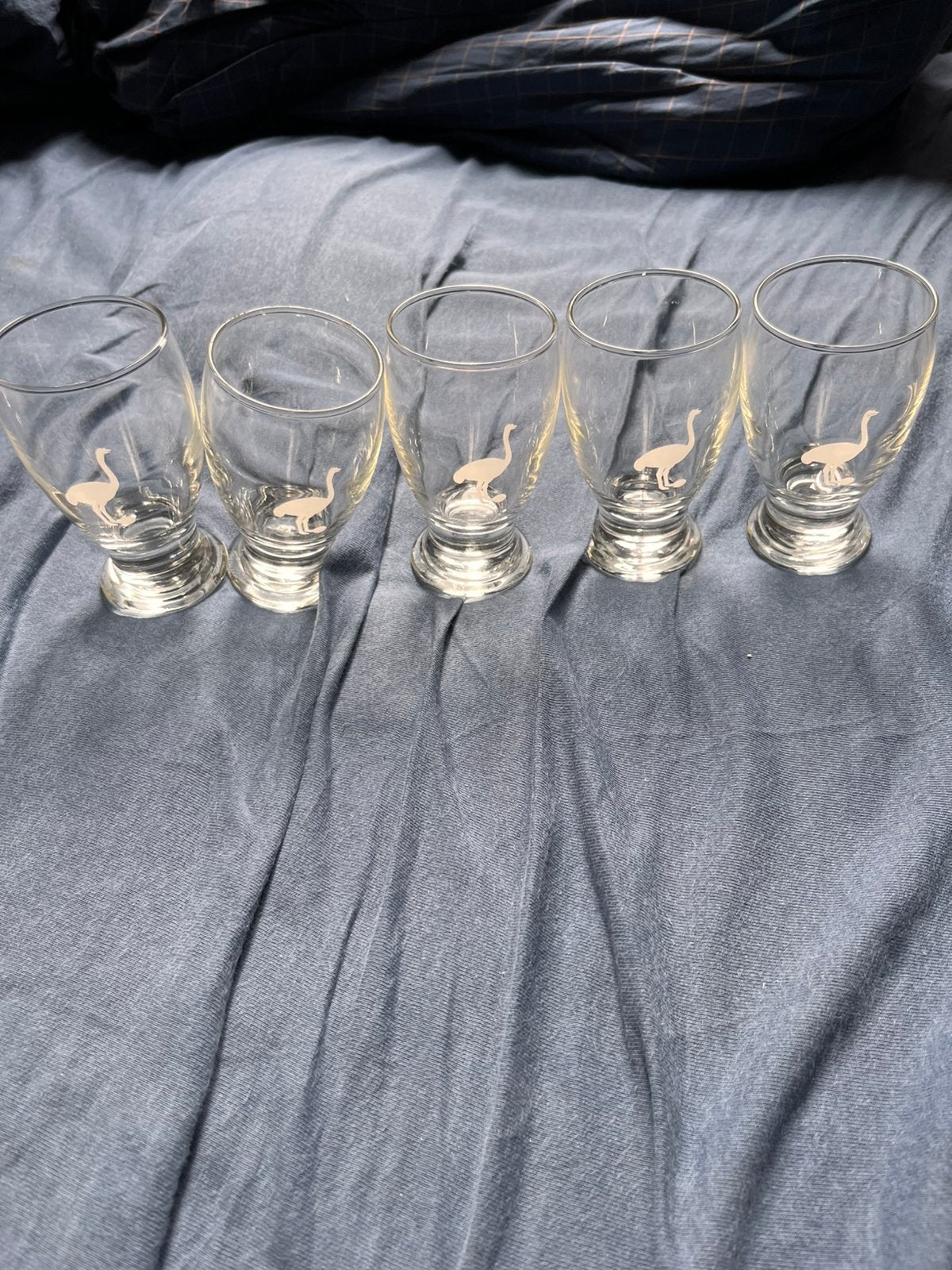 Brouwerij ‘t IJ - 5 Proefglaasjes 15CL, Ophalen of Verzenden, Zo goed als nieuw, Overige typen