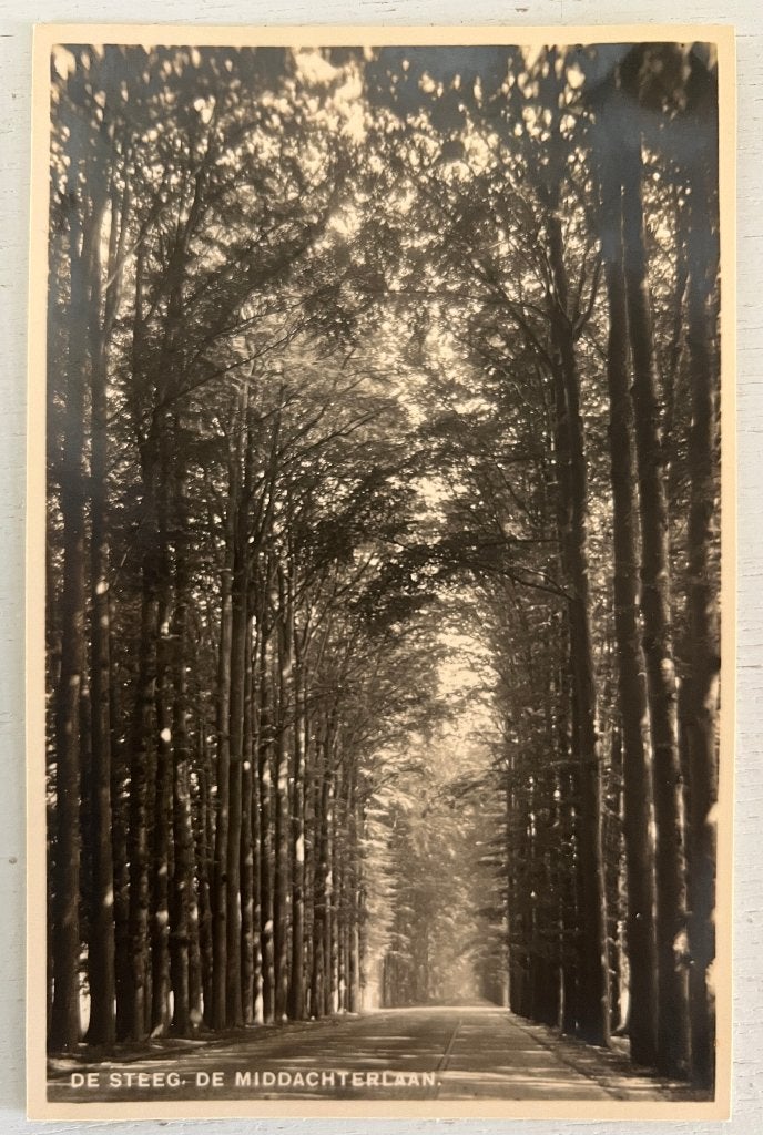 Oude Ansichtkaart  - De Steeg - De Middachterlaan, Verzamelen, Ansichtkaarten | Nederland, Ophalen of Verzenden, Voor 1920, Ongelopen