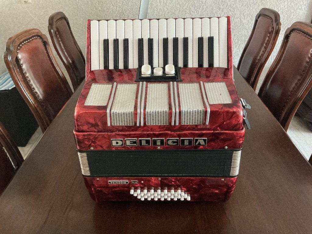 DELICIA 32 BAS leuke pianoklavier, Muziek en Instrumenten, Accordeons, Gebruikt, 32-bas, Met koffer, Delicia