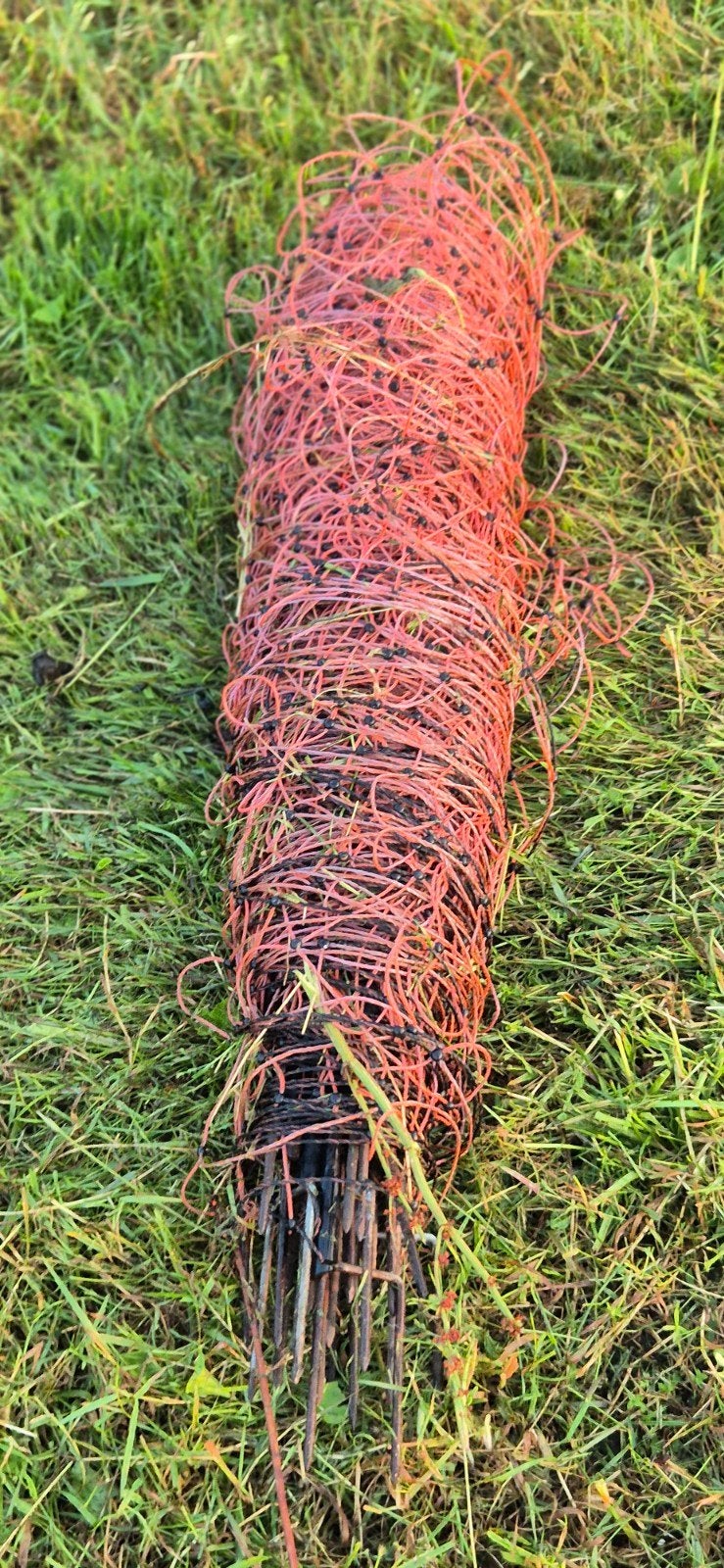 Schapengaas voor de wei 50m, Tuin en Terras, Gaas en Draad, Ophalen of Verzenden, Gebruikt, 20 meter of meer, Raster