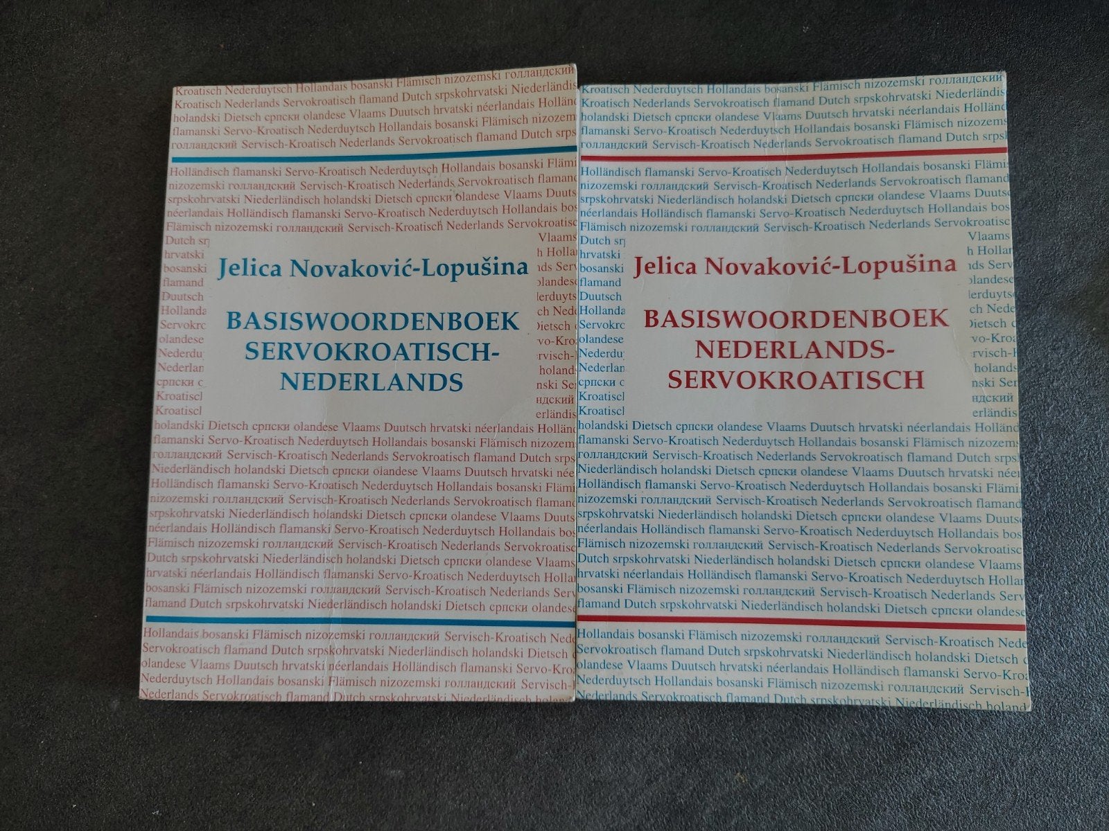 Basiswoordenboek Servo-Kroatisch - Nederlands, Boeken, Woordenboeken, Ophalen of Verzenden
