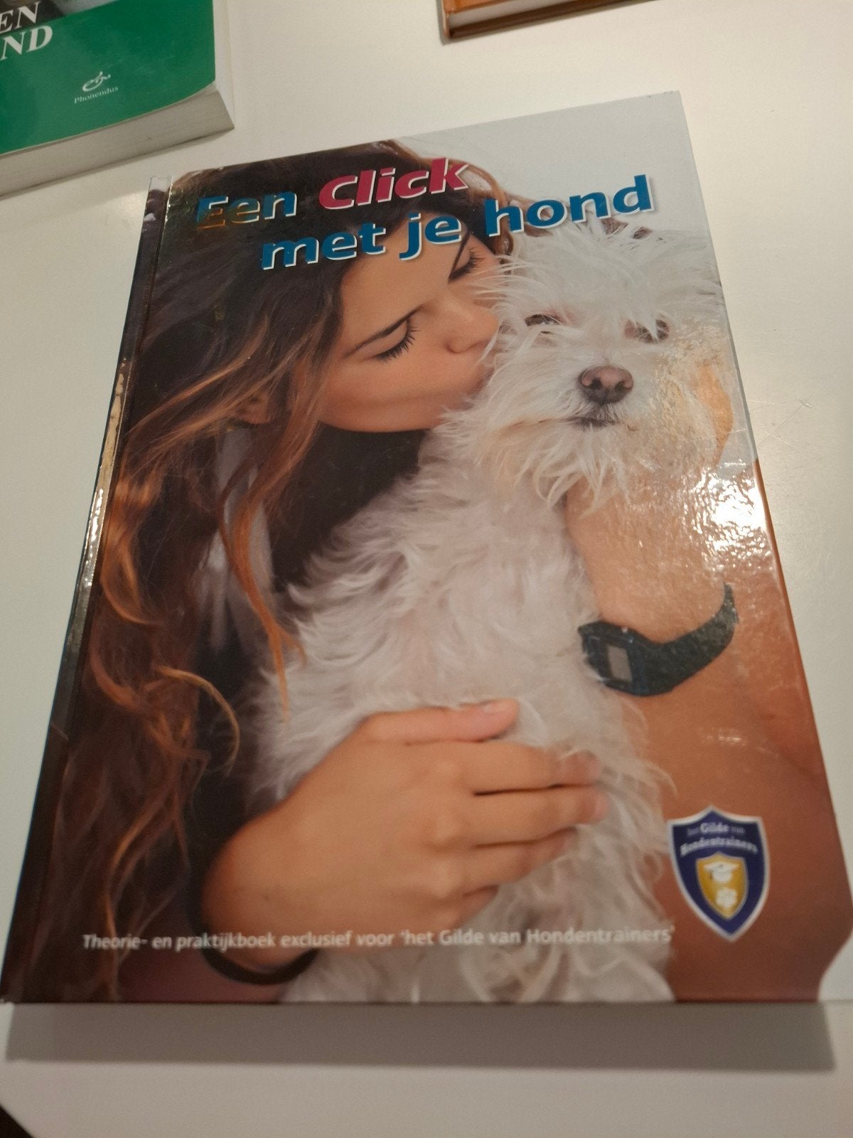 Een Click met je hond - Theorie- en praktijkboek, Ophalen of Verzenden, Gelezen, Honden, Onbekend