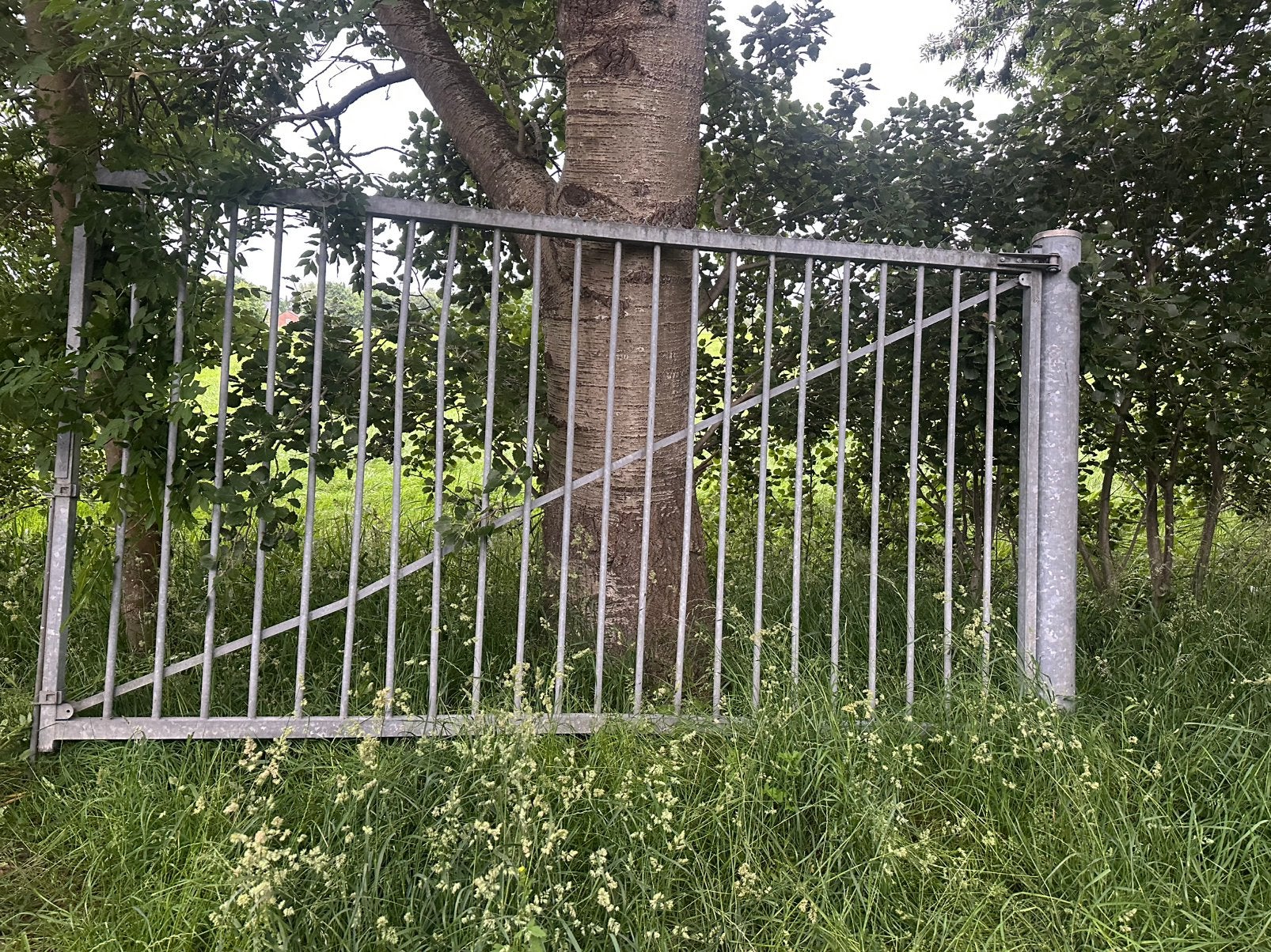 Hek / poort, Tuin en Terras, Ophalen, Zo goed als nieuw, IJzer