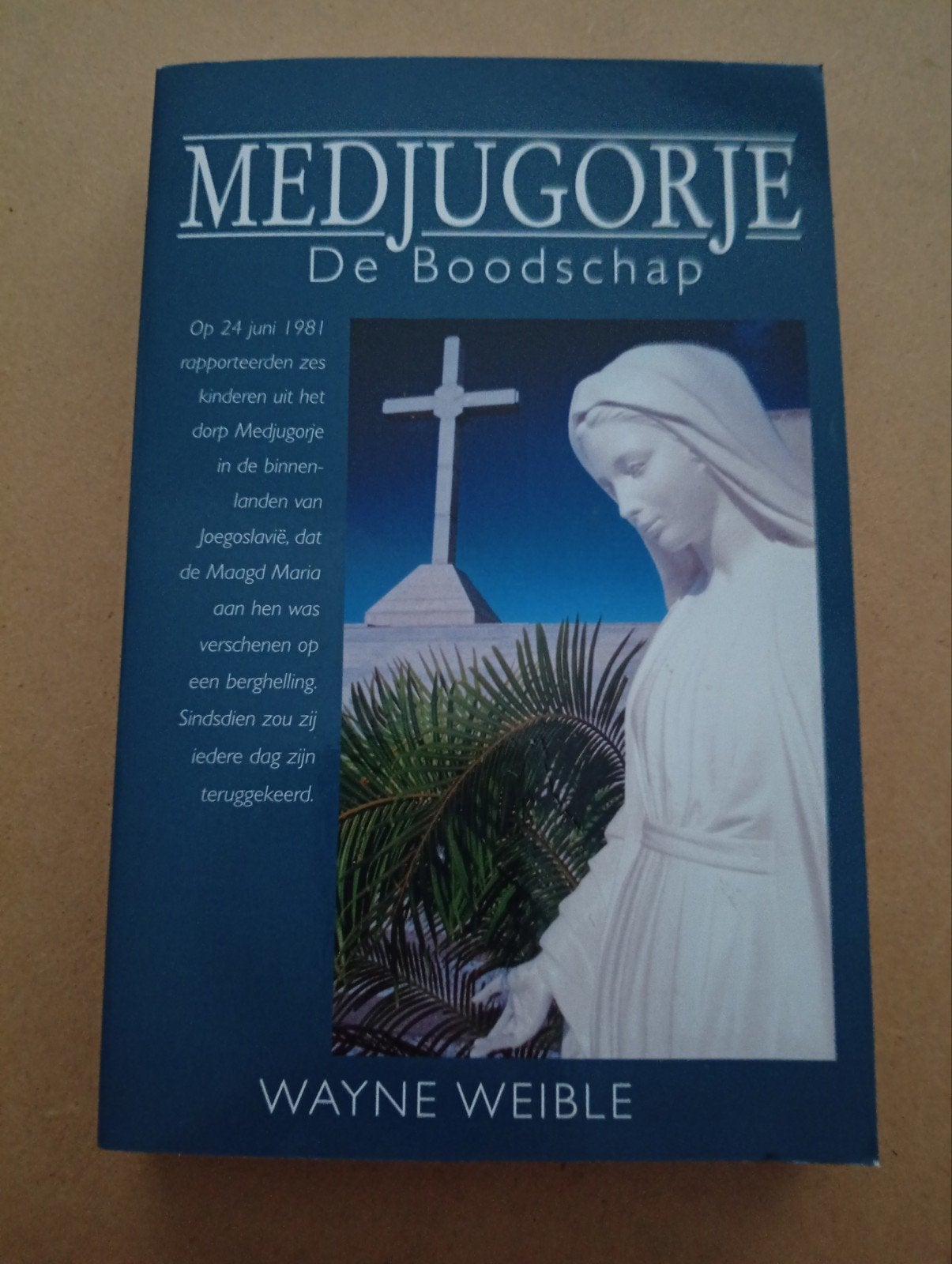 Medjugorje: De Boodschap - Wayne Weible (Christendom), Boeken, Gelezen, Ophalen of Verzenden, Wayne Weible, Christendom | Katholiek