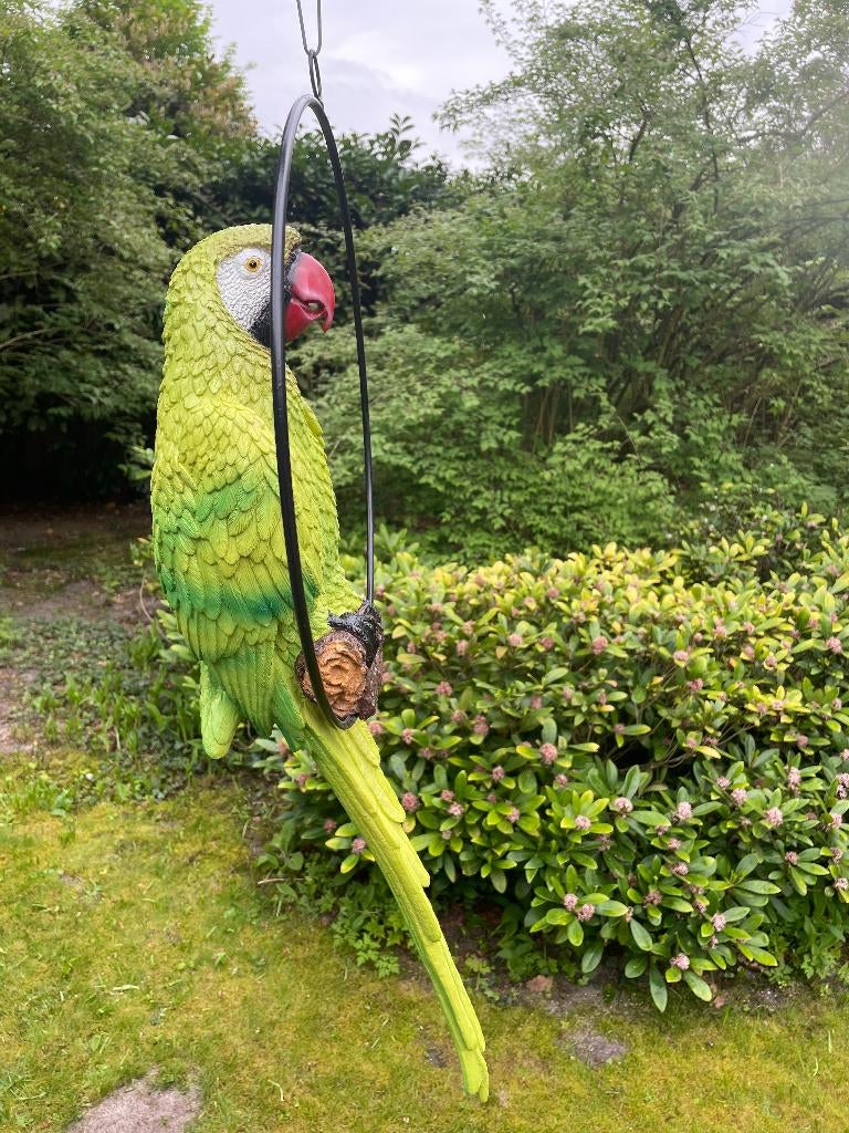 Beeld papegaai Groen tuin, vijver, balkon 70cm, Ophalen, Nieuw, Kunststof, Dierenbeeld
