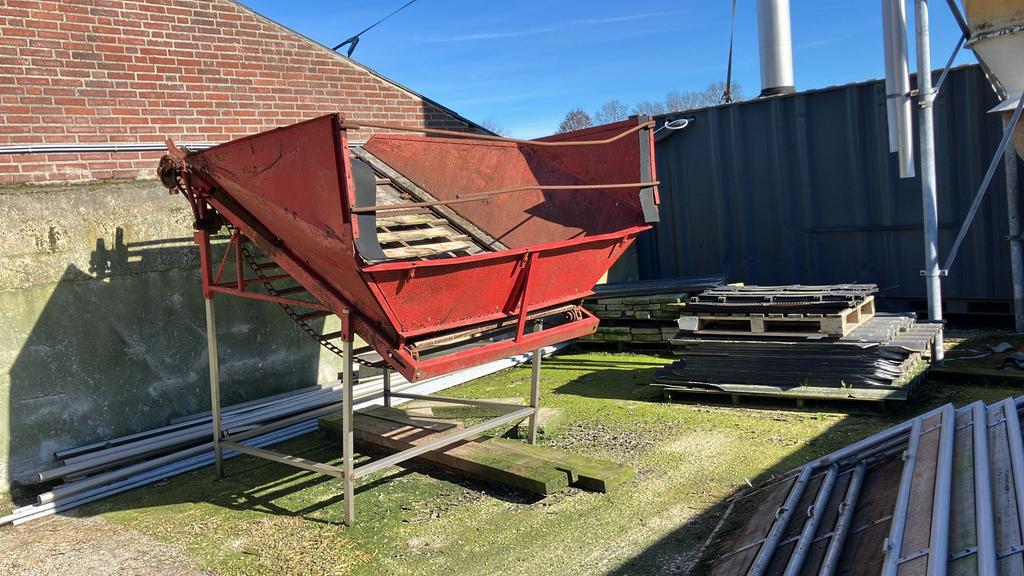 Stortbak stortbunker, Mannelijk, Schaap