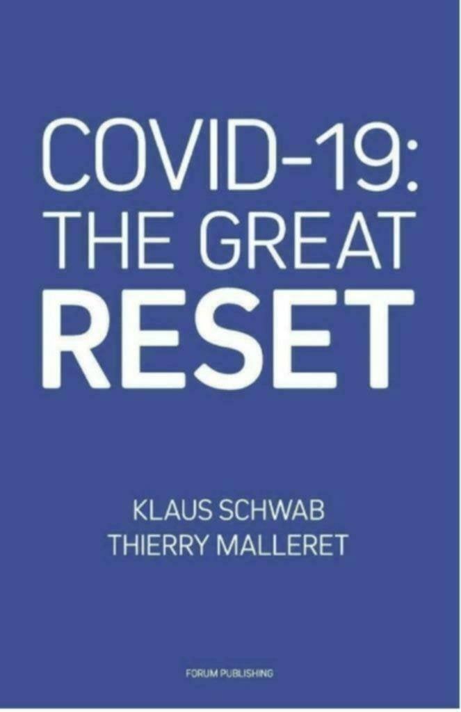 Covid-19: The great reset PDF, Klaus Schwab & Thierry Mal, Ophalen of Verzenden, Zo goed als nieuw, Gezondheid en Conditie