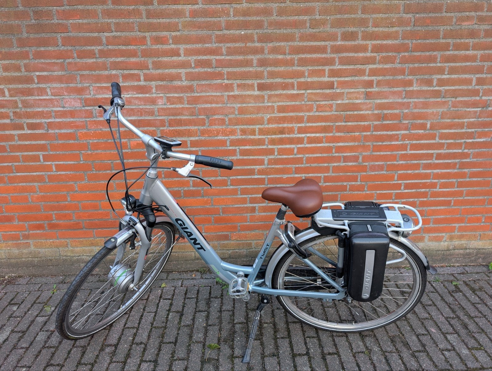Giant Twist Go Power e-bike [defect], Fietsen en Brommers, Elektrische fietsen, Ophalen, Gebruikt, Giant, 47 tot 51 cm