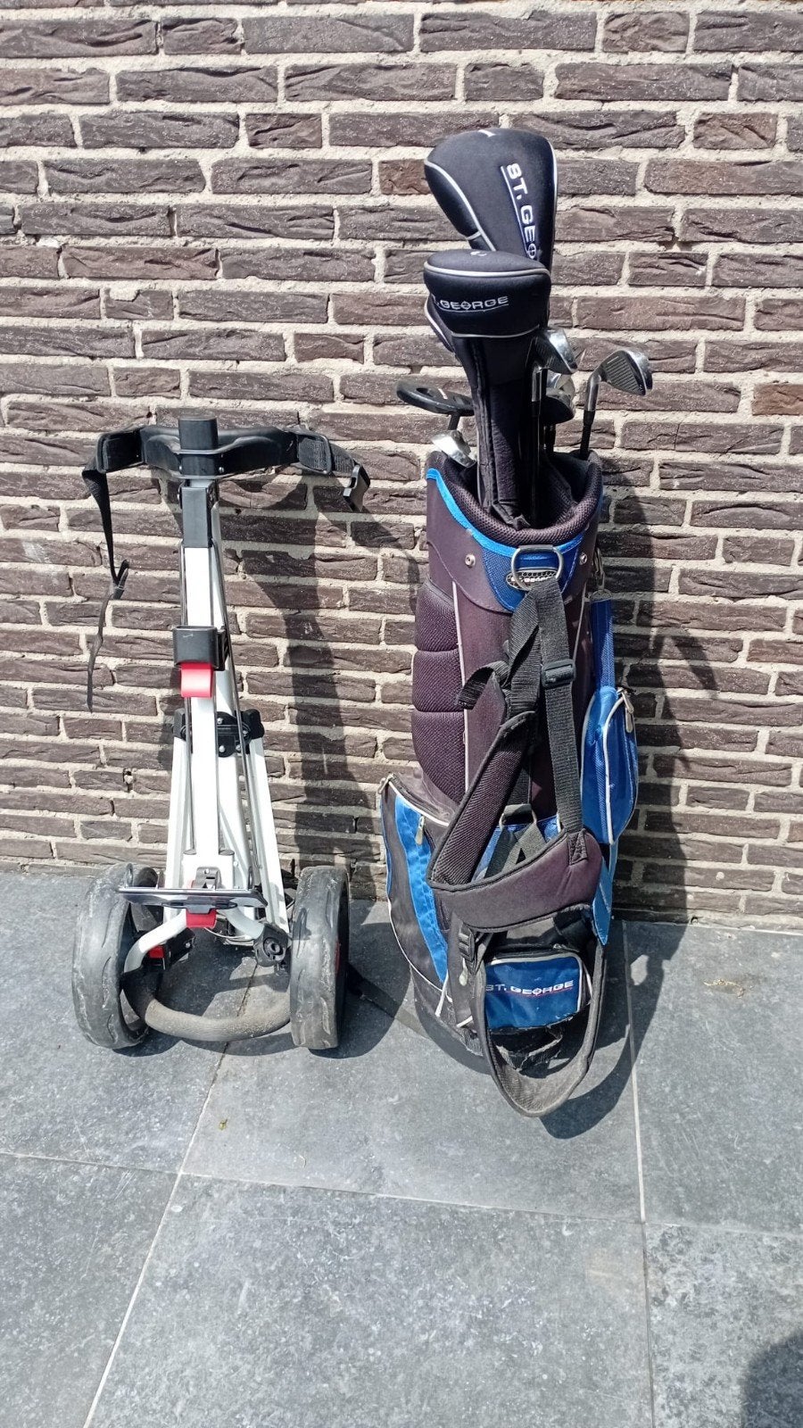 Golftas en golfkar, complete set, Ophalen of Verzenden