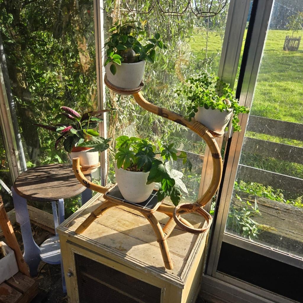 Retro rotan plantenslang, Verzamelen, Retro, Ophalen, Huis en Inrichting