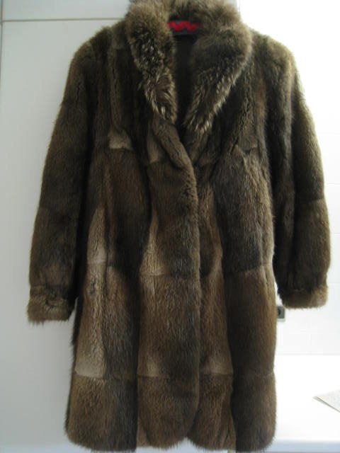 Jas, mantel, dames, pels, canadese muskus, maat 38, Kleding | Dames, Ophalen of Verzenden, Nieuw, Maat 38/40 (M)
