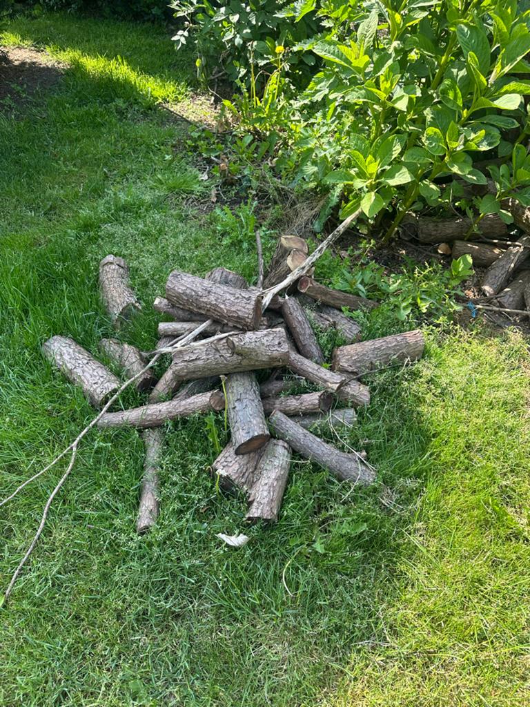 Diverse houtblokken en takken voor brandhout of decoratie, 3 tot 6 m³, Ophalen, Overige houtsoorten, Blokken