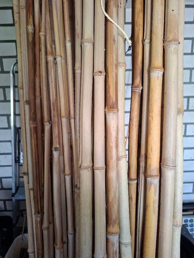Bamboe stokken voor tuin of decoratie, Tuin en Terras, Kweekspullen, Ophalen, Gebruikt, Overige typen
