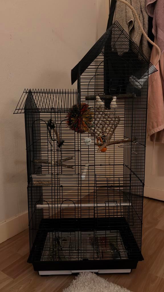 Parrot cage, Dieren en Toebehoren, Ophalen, Zo goed als nieuw, Metaal, Vogelkooi