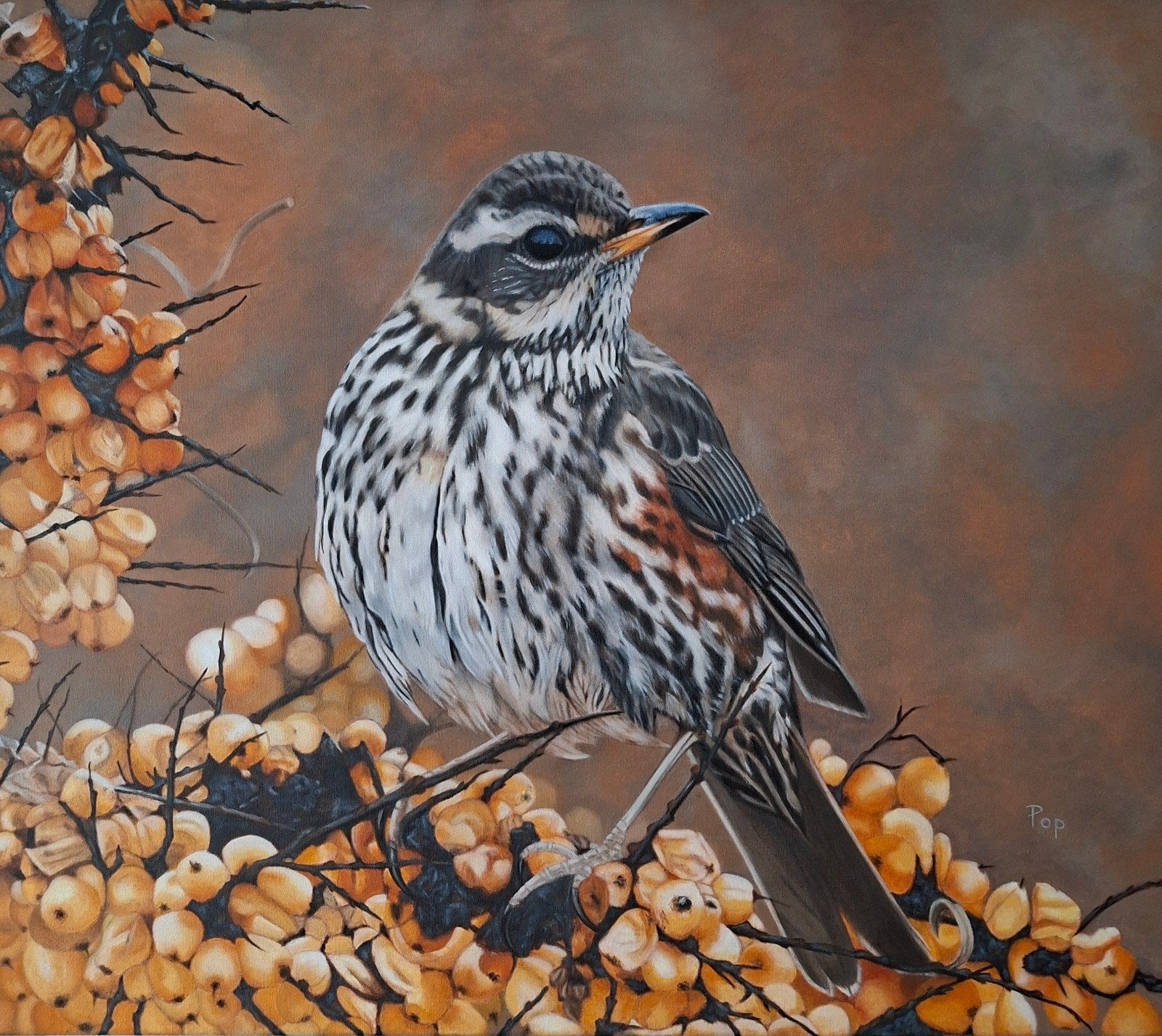 Koperwiek schilderij Eigen werk, Vogel schilderij Kunst Home, Ophalen of Verzenden, Gesigneerd, Olieverf, Dieren