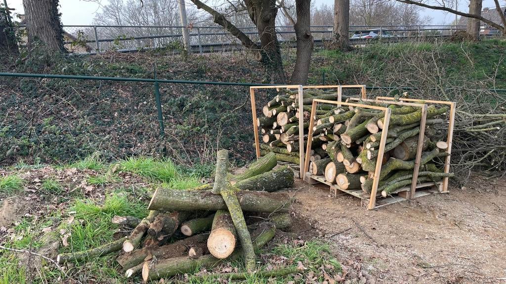 2,5 kuub eiken hout, Minder dan 3 m³, Ophalen, Stammen