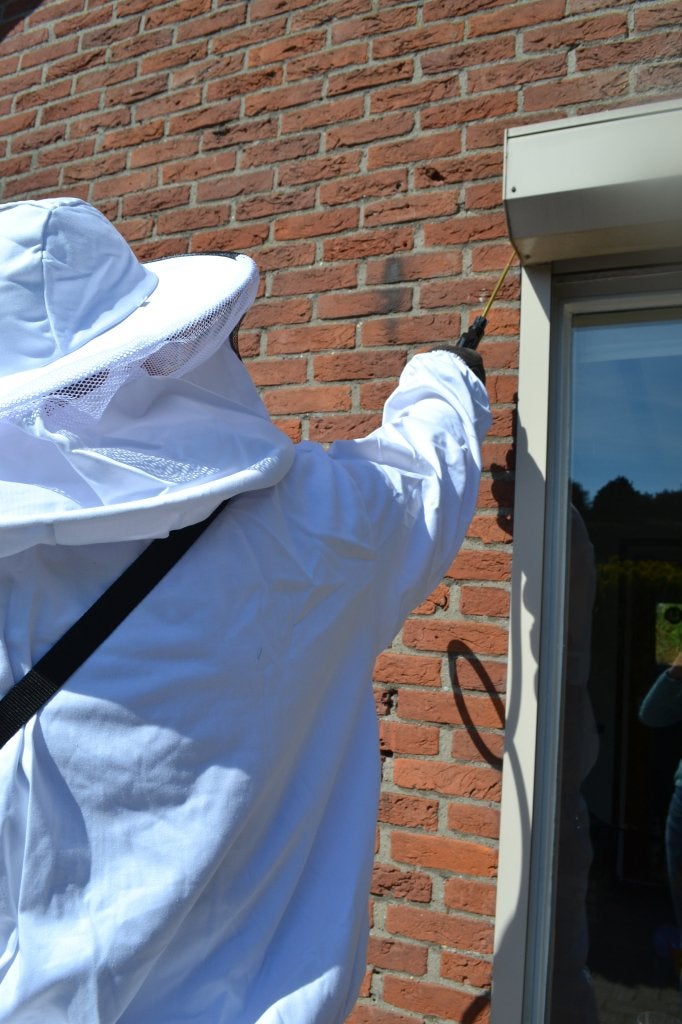 Wespenbestrijding Wespen Wespennest bestrijden Best Oirschot