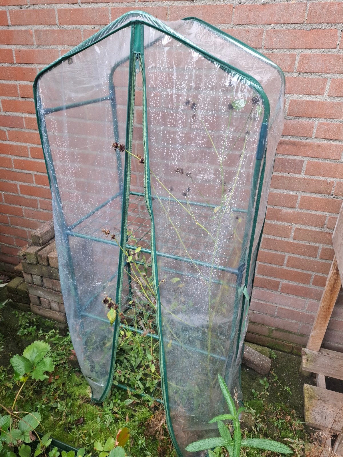 gratis: kleine tuinkas, Tuin en Terras, Ophalen, Folie, Gebruikt, Aluminium