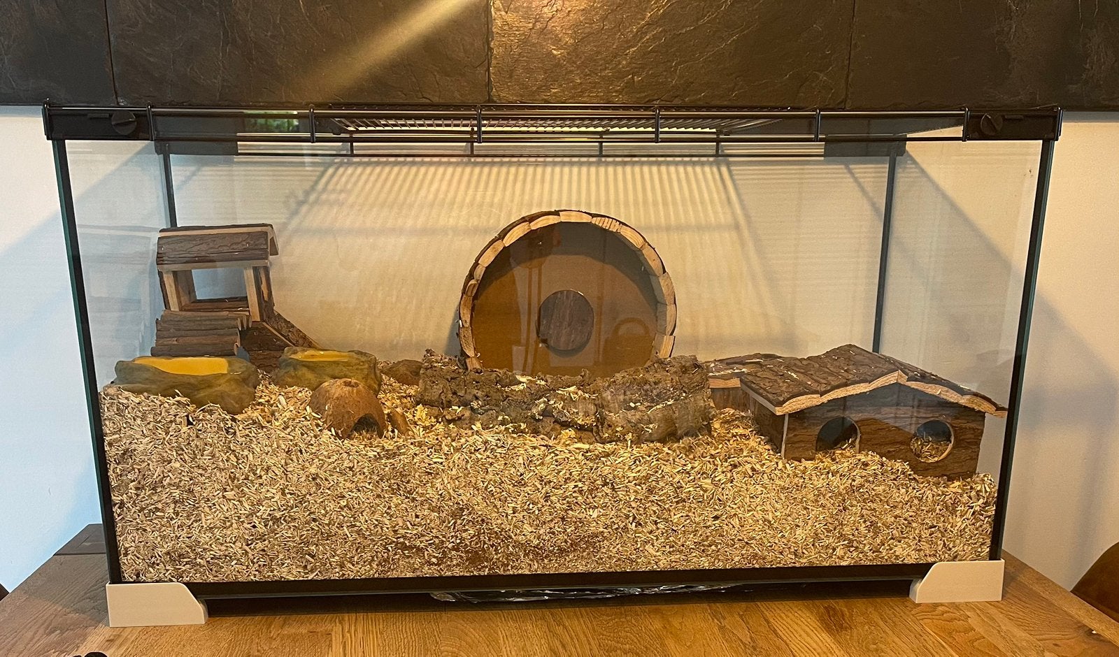 Complete glazen hamsterbak met hamster, Kooi, Minder dan 75 cm, Zo goed als nieuw, Hamster