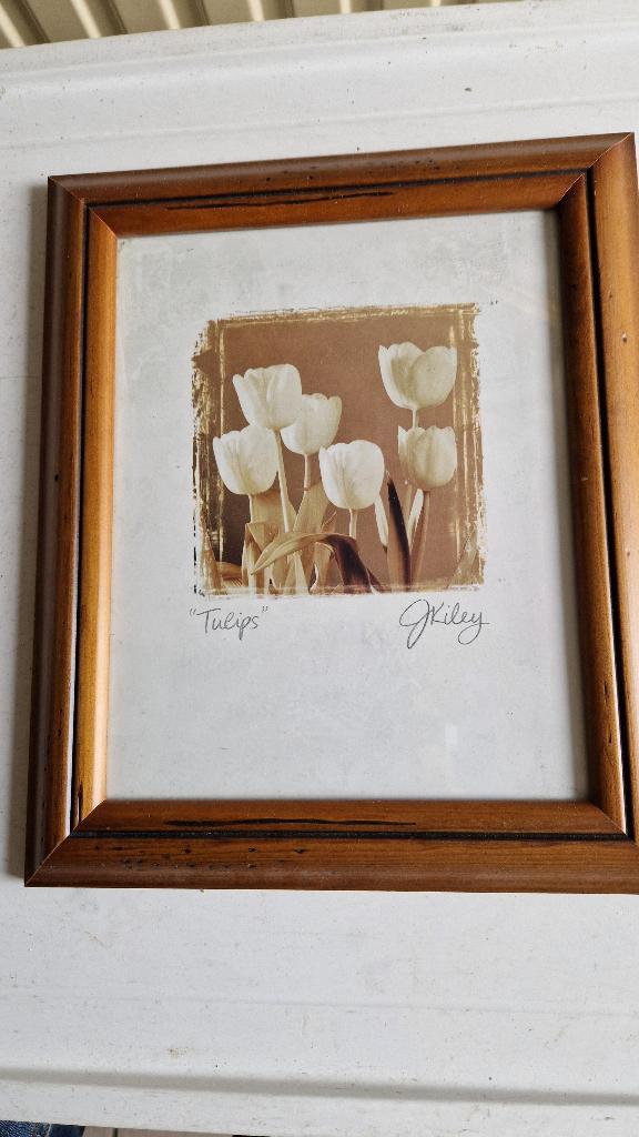 tulpen prent in lijst, Natuur, Gebruikt, 1980 tot heden, Ophalen of Verzenden