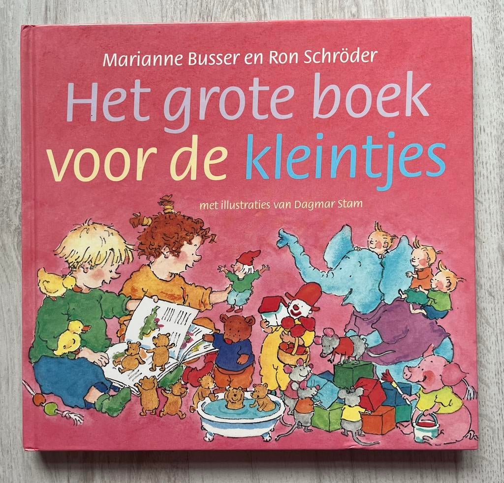 Marianne Busser - Het grote boek voor de kleintjes, Boeken, 3 tot 4 jaar, Ophalen of Verzenden, Zo goed als nieuw, Marianne Busser; Ron Schröder