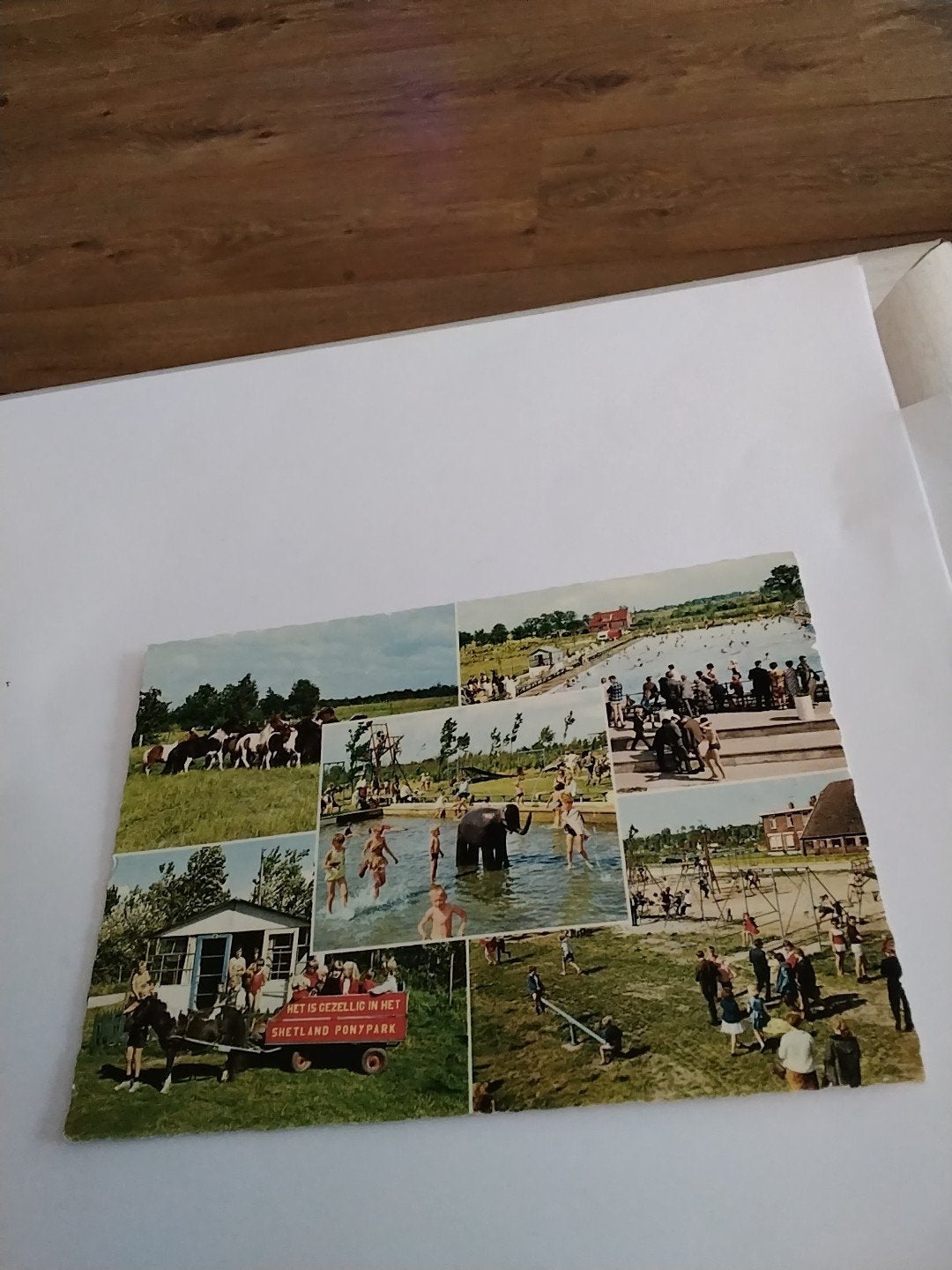 Oude ansichtkaart Shetland Ponypark Slagharen, Ophalen of Verzenden, 1960 tot 1980, Gelopen, Overijssel