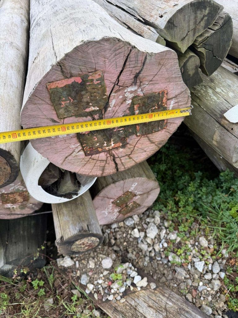 Groenhart Hardhouten Meerpalen | Sterk, Duurzaam, Doe-het-zelf en Verbouw, Hout en Planken, Gebruikt