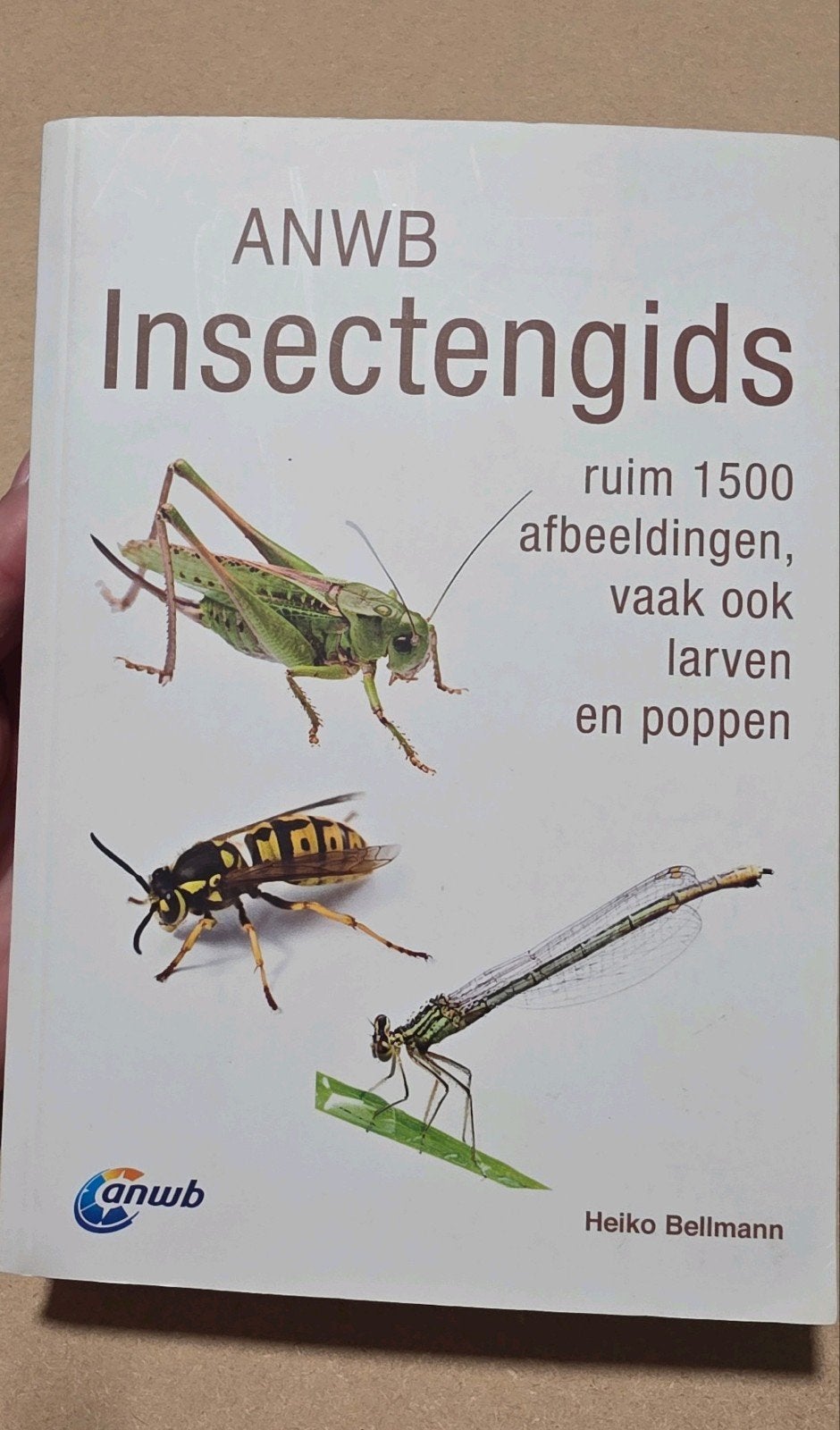 Heiko Bellmann - Insectengids, Heiko Bellmann, Nieuw, Ophalen of Verzenden