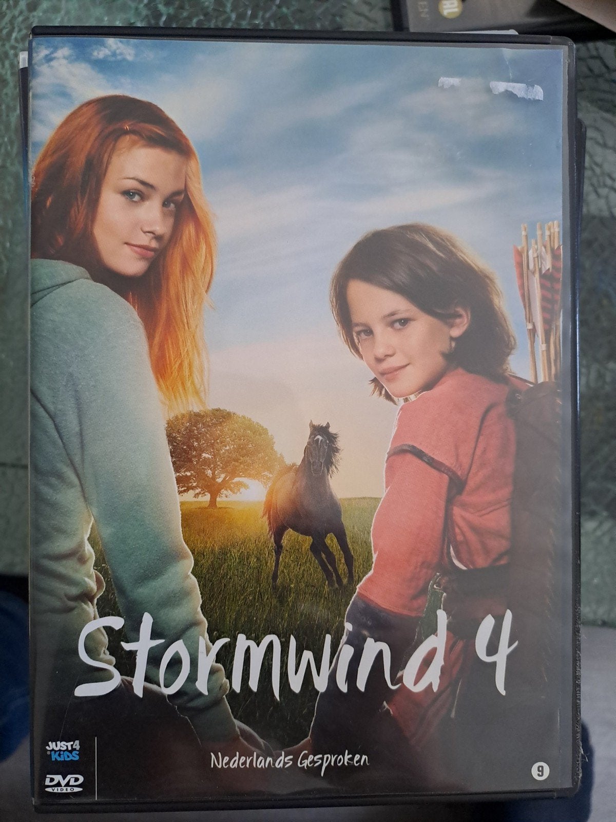 Stormwind 4 (dvd), Alle leeftijden, Ophalen of Verzenden, Zo goed als nieuw