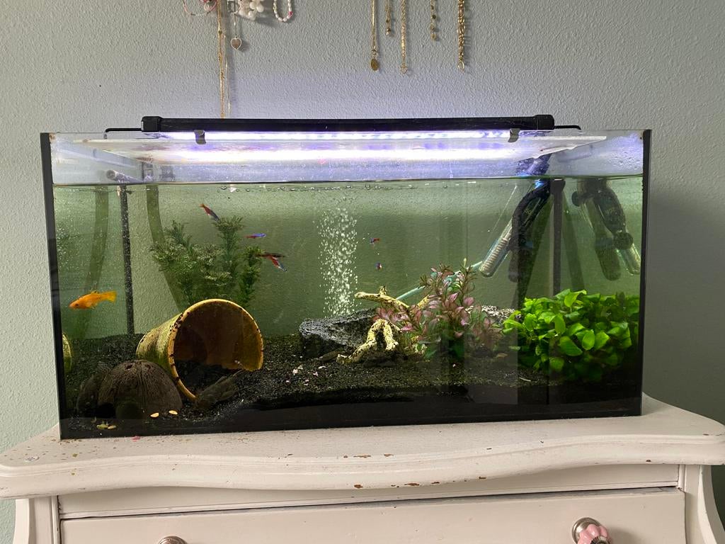 Aquarium 60 liter, Dieren en Toebehoren, Ophalen, Gebruikt, Leeg aquarium