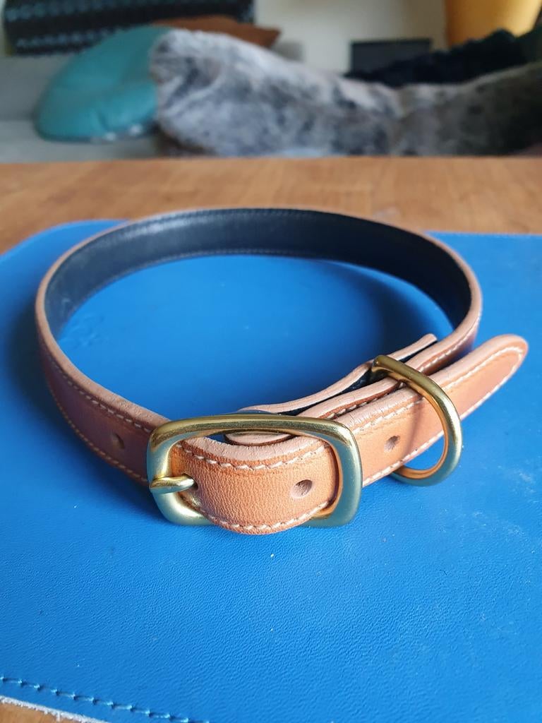 Shinola Leather Pet Collar / Leren Halsband voor Hond of Kat, Ophalen of Verzenden, Nieuw