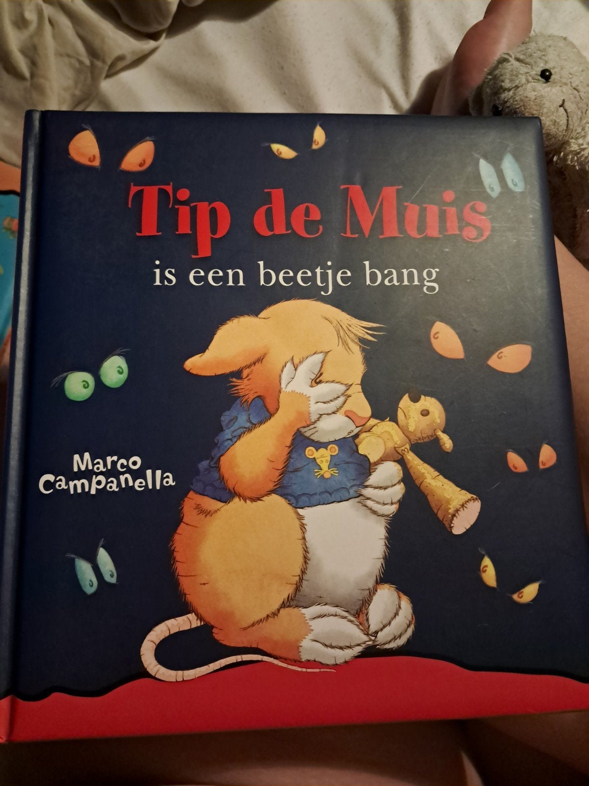 boek: Tip de Muis is een beetje bang - Marco Campanella, Boeken, Ophalen of Verzenden, Zo goed als nieuw, Marco Campanella, 2 tot 3 jaar