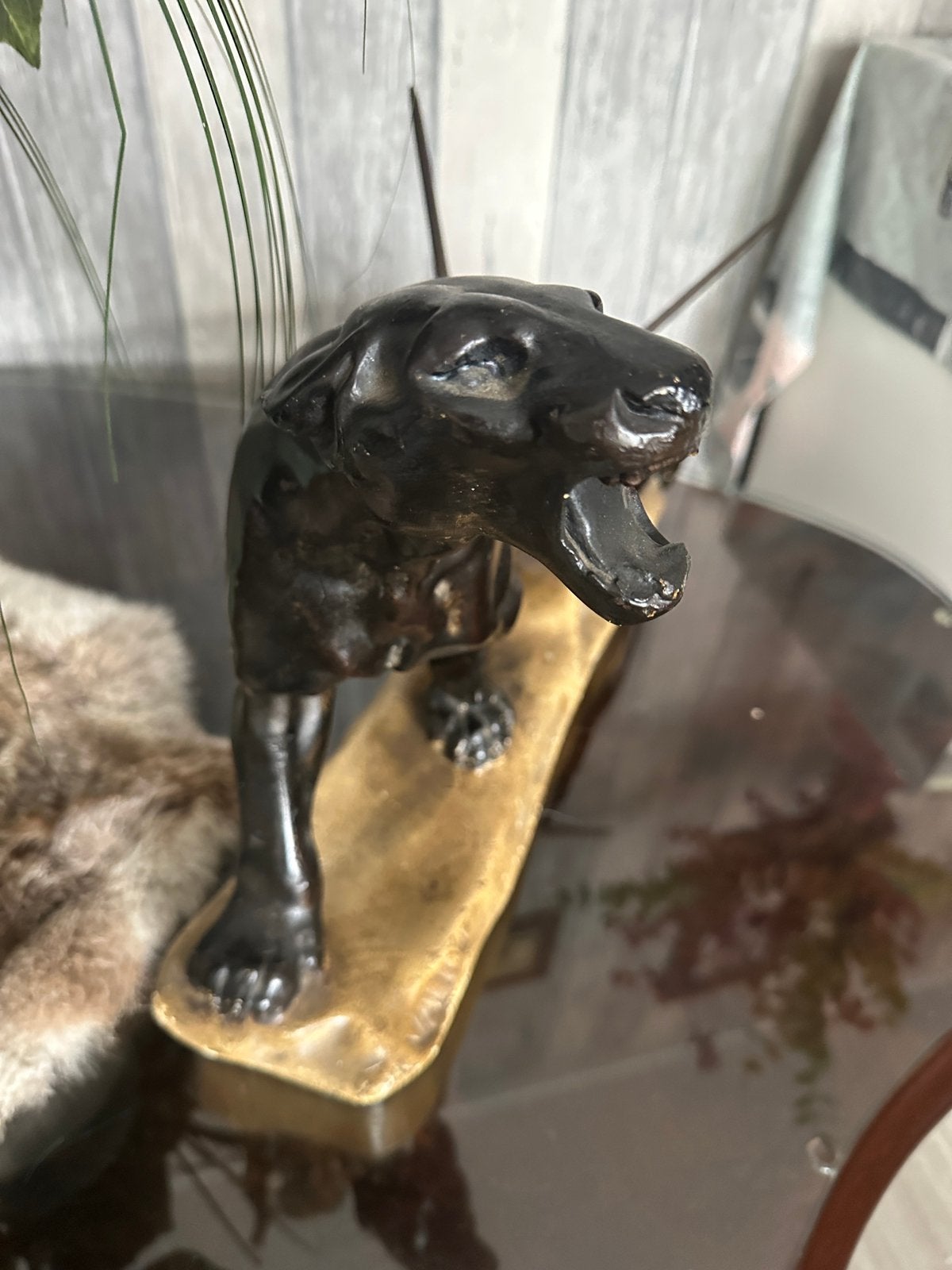 Zwarte Panter., Ophalen of Verzenden, Gebruikt, Dier