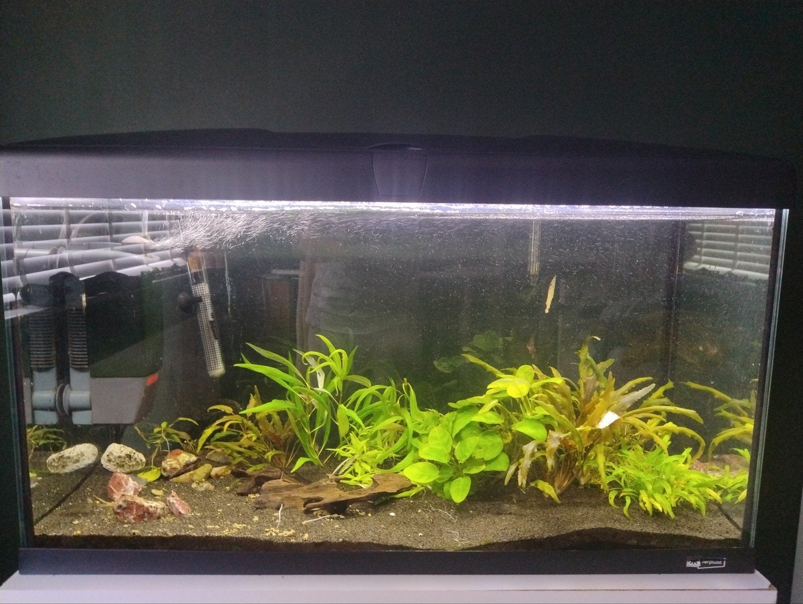 Aquarium ferplast 100 liter 80x30x40, Dieren en Toebehoren, Vissen | Aquaria en Toebehoren, Zo goed als nieuw, Gevuld zoetwateraquarium