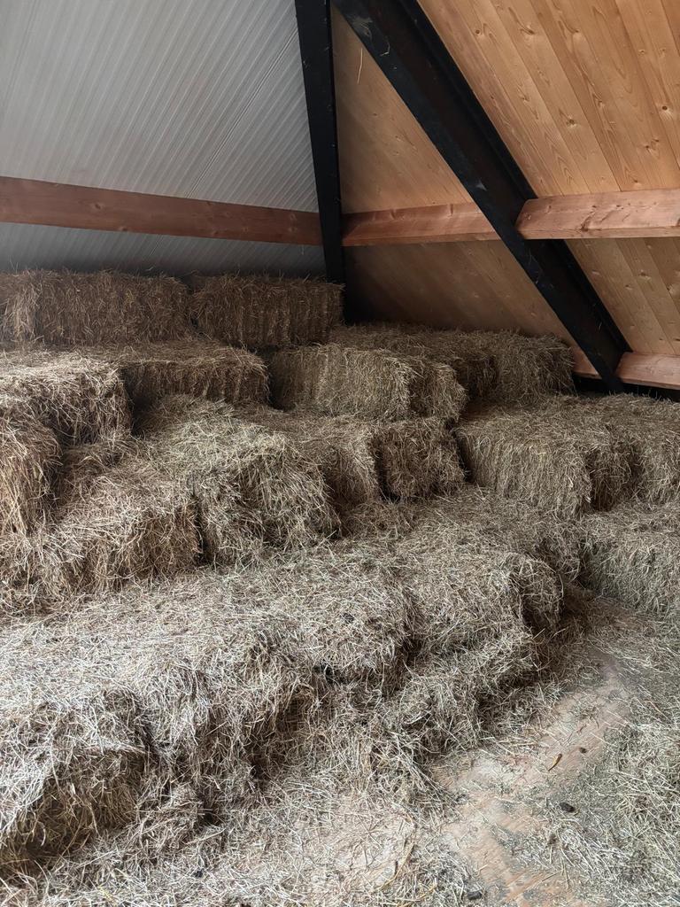 Kleine hooibalen, Dieren en Toebehoren, Dierenvoeding, Ophalen, Vee