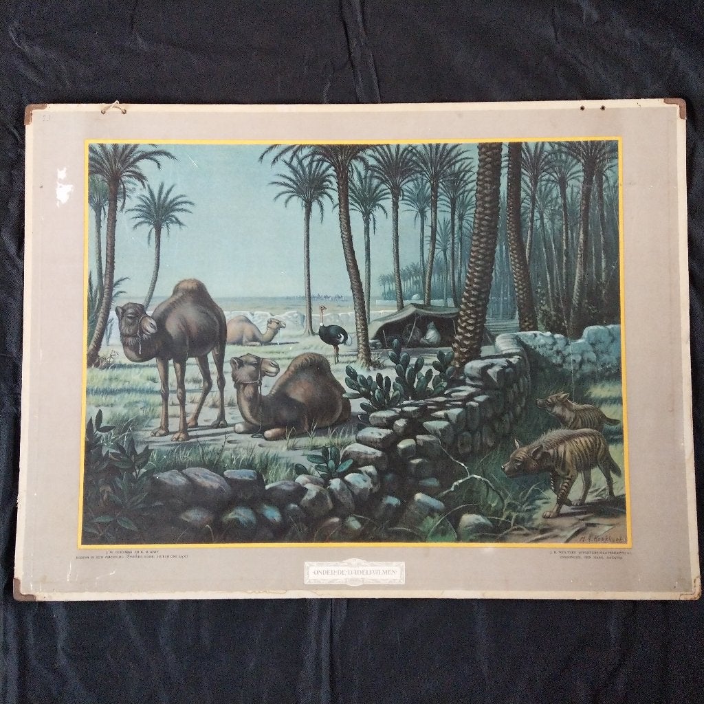 Schoolplaat Onder de dadelpalmen – Koekkoek 1932, Antiek en Kunst, Ophalen of Verzenden, Natuur en Biologie