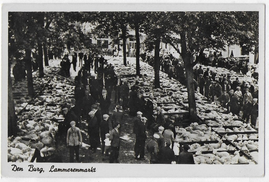 Den Burg Lammerenmarkt Oude Gelopen Ansichtkaart (B3435 ), Ophalen of Verzenden, 1960 tot 1980, Gelopen, Zuid-Holland