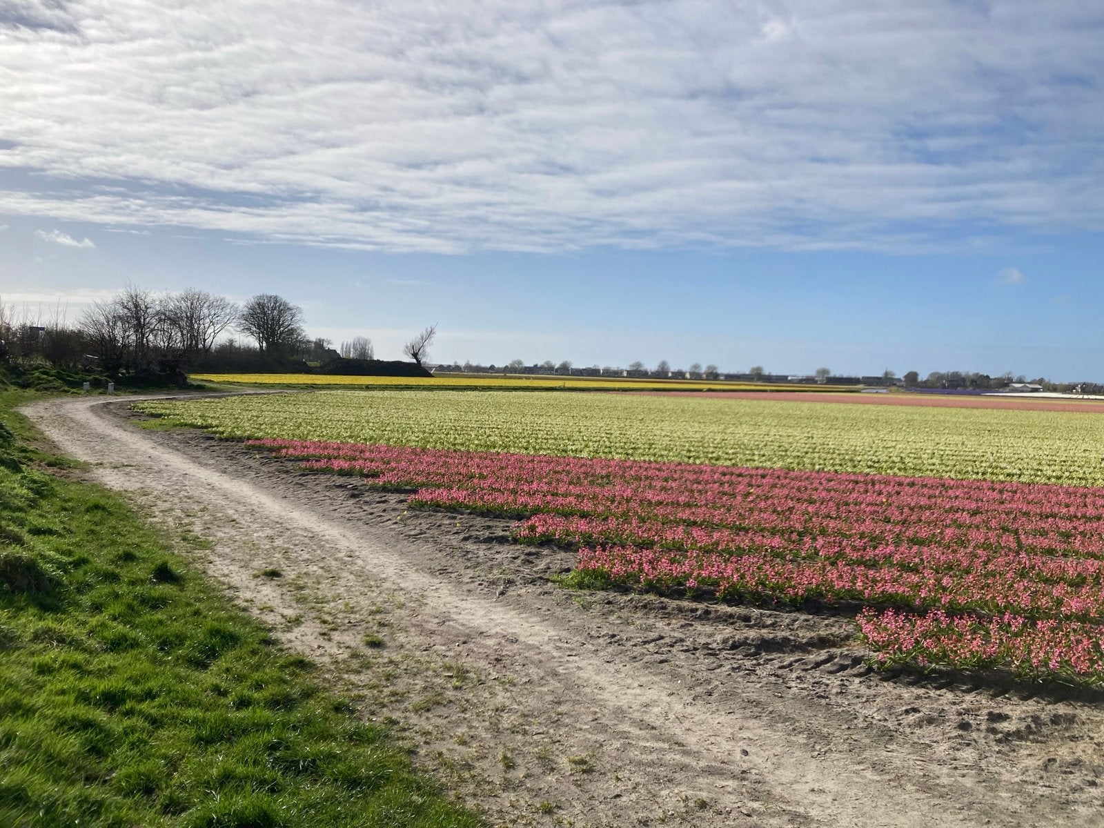 Grond gezocht in de bollenstreek voor tiny house