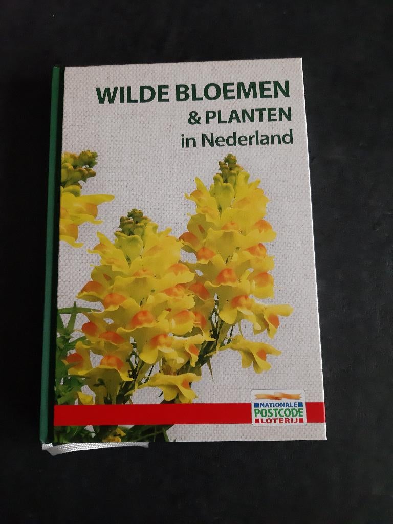 Boek: wilde bloemen en planten in Nederland, Boeken, Natuur, Ophalen of Verzenden, Nieuw, Natuur algemeen