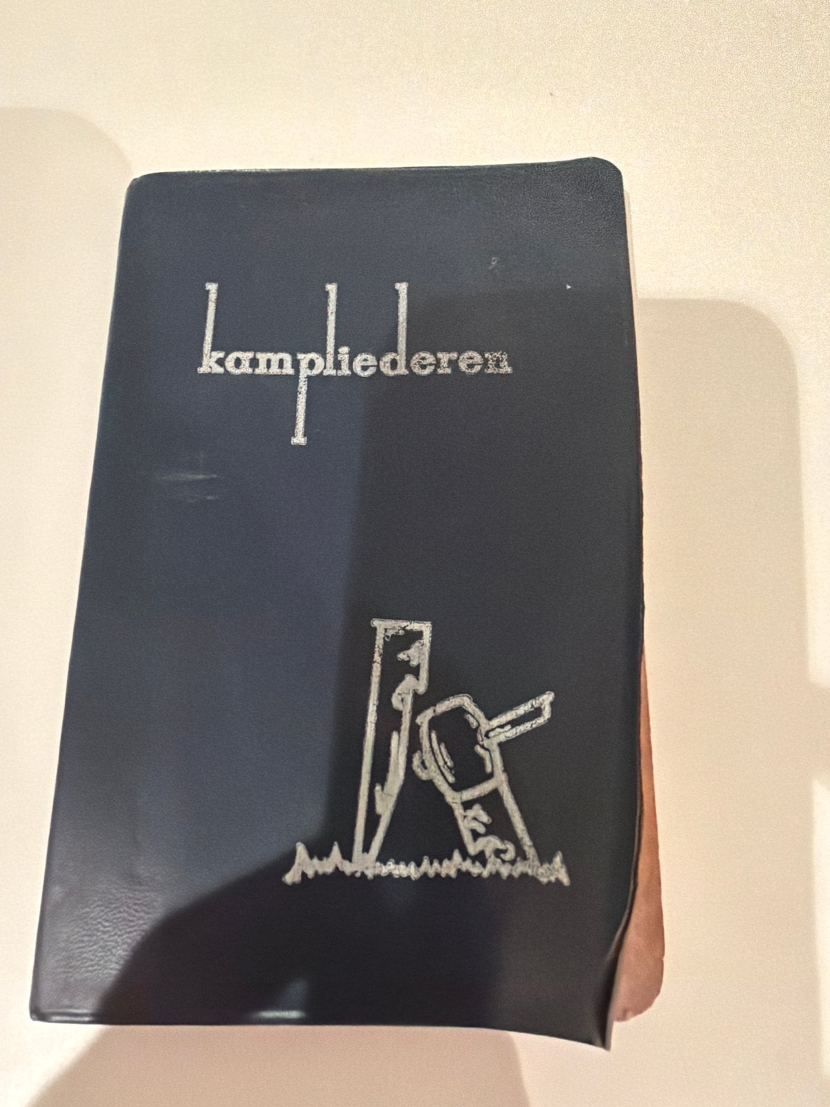 Kampboekje Zeilkampen Wanneperveen/Gaastermeer 1960-1965, Boeken, Ophalen of Verzenden, Gelezen, Non-fictie