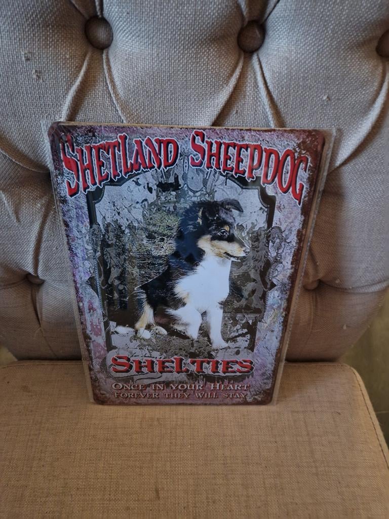 Shetland sheepdog wandbord, Ophalen of Verzenden, Nieuw