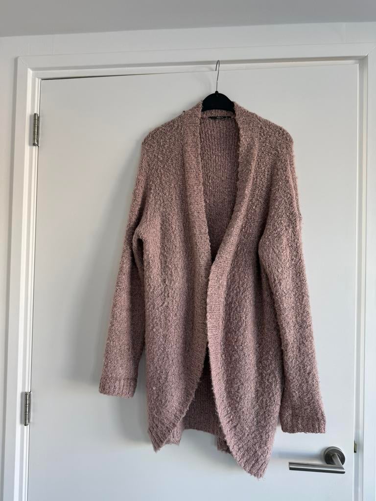 Leuk vest., Ophalen of Verzenden, Gedragen, Maat 46/48 (XL) of groter, Roze