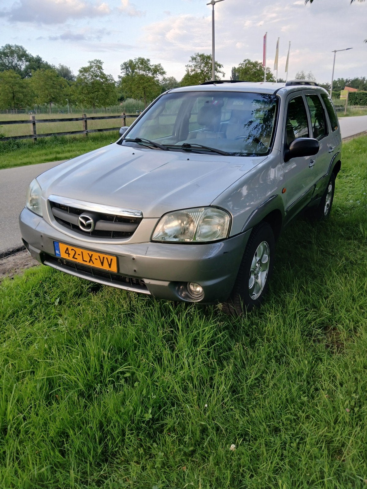 Mazda Tribute 3.0 V6 Touring AUT 4WD 2003 Grijs, Auto's, Mazda, Automaat, Particulier, 93 €/maand, Lederen bekleding