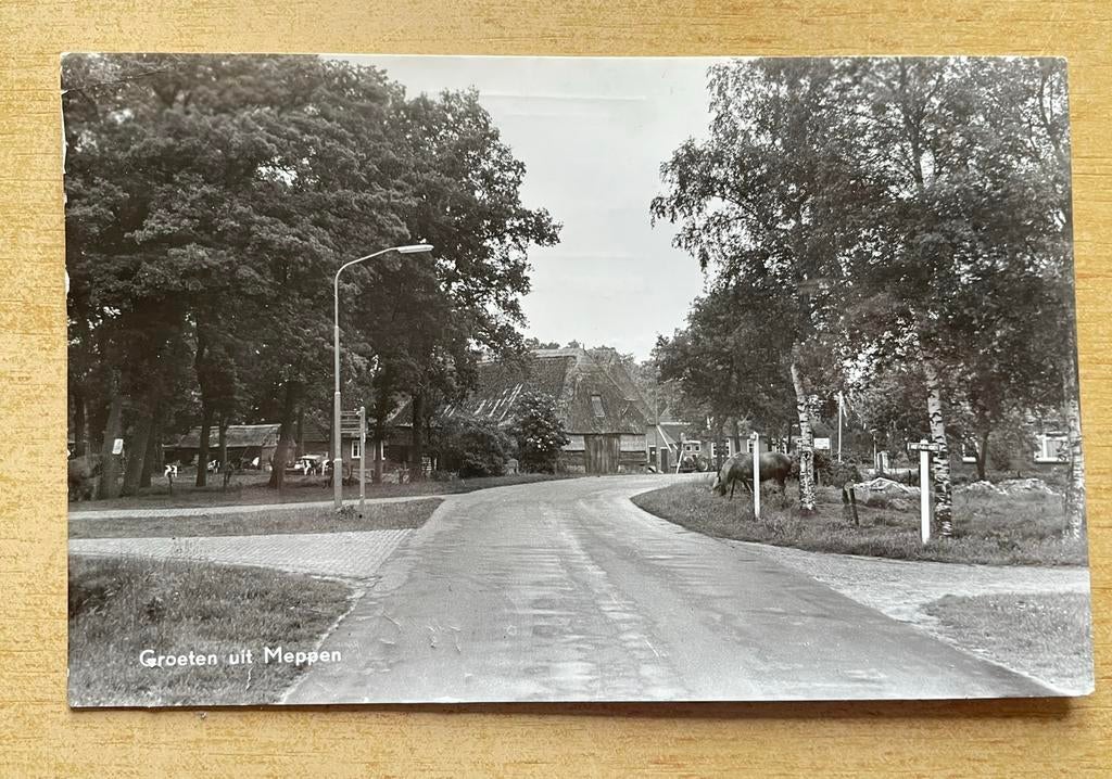 Groeten uit Meppen, Ophalen of Verzenden, 1960 tot 1980, Gelopen, Drenthe