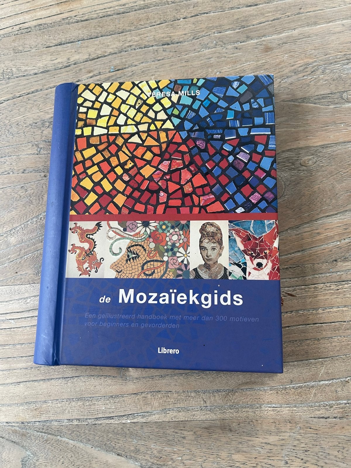 T. Mills - De Mozaïekgids, Ophalen of Verzenden, Zo goed als nieuw, T. Mills