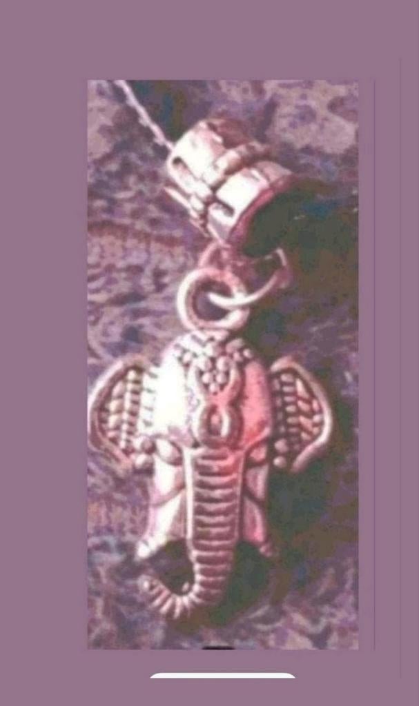Ketting olifant, Verzenden, Nieuw, Zilver, Met hanger