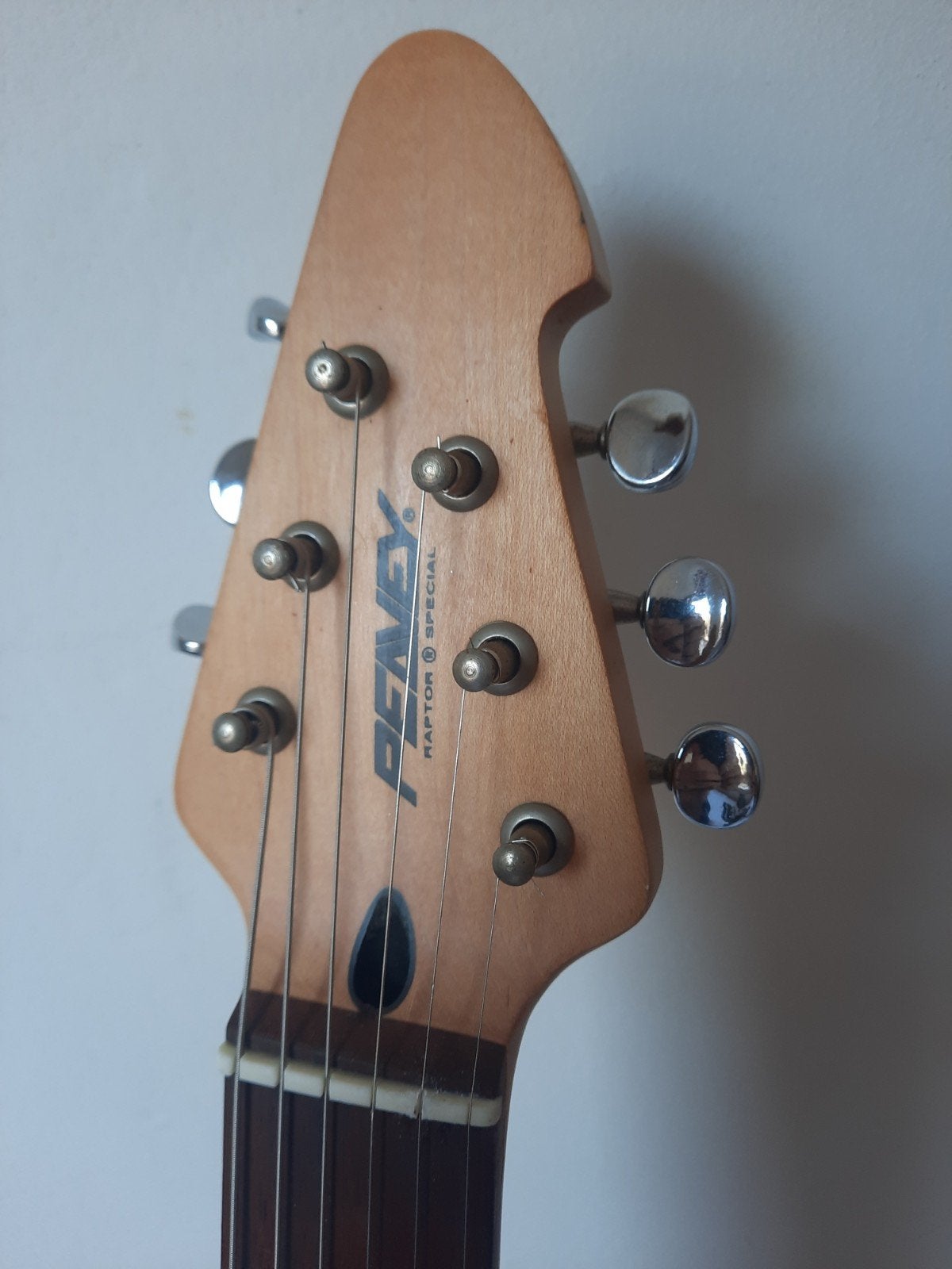 Foto 12 van Peavey Raptor electrische gitaar Versterker Alle accessoires
