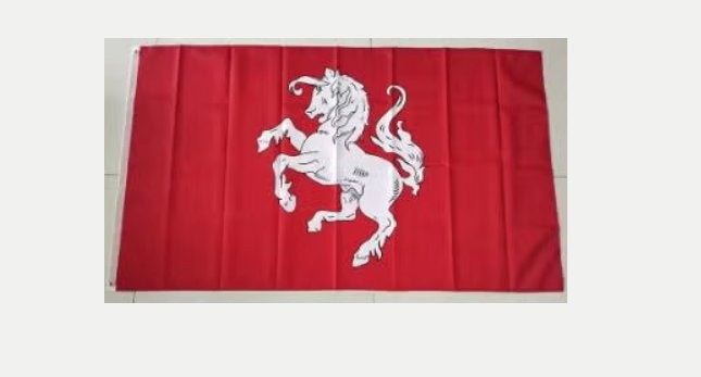 Grote vlag Twente (150x90cm), Ophalen of Verzenden, Nieuw