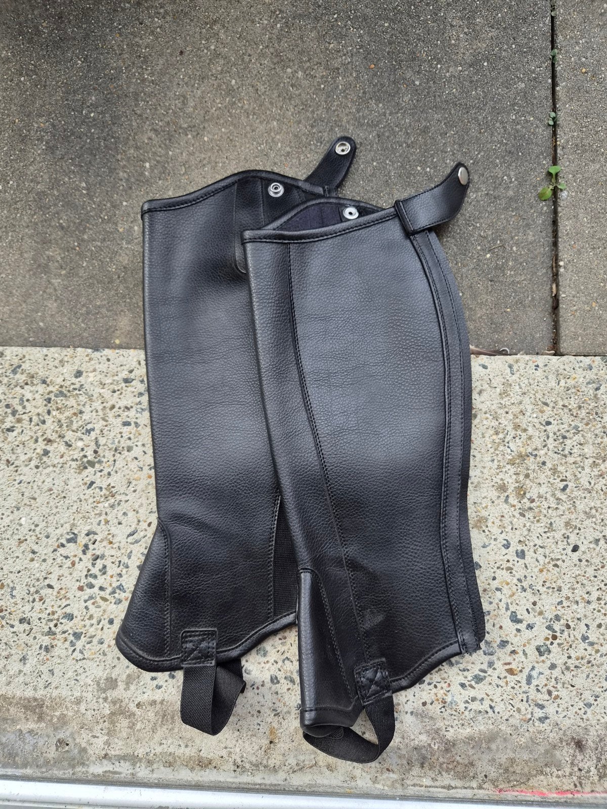 Harry's Horse gladde chaps, Dressuur, XS, Ophalen of Verzenden, Zo goed als nieuw