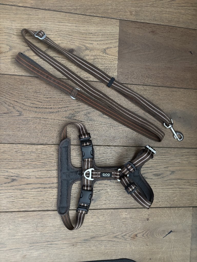 Dog Copenhagen -Tuig + riem (Bruin), Overige merken, Ophalen of Verzenden, Zo goed als nieuw, Hondentuig